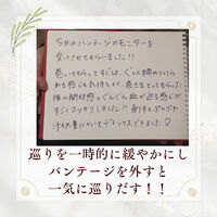 ブログ画像