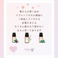 ブログ画像